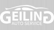 Geiling Service