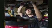 Apex Automotive